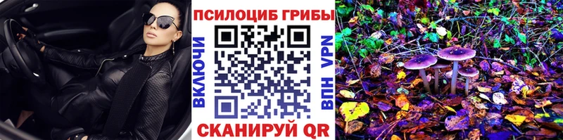 Галлюциногенные грибы Cubensis  что такое наркотик  Лебедянь 